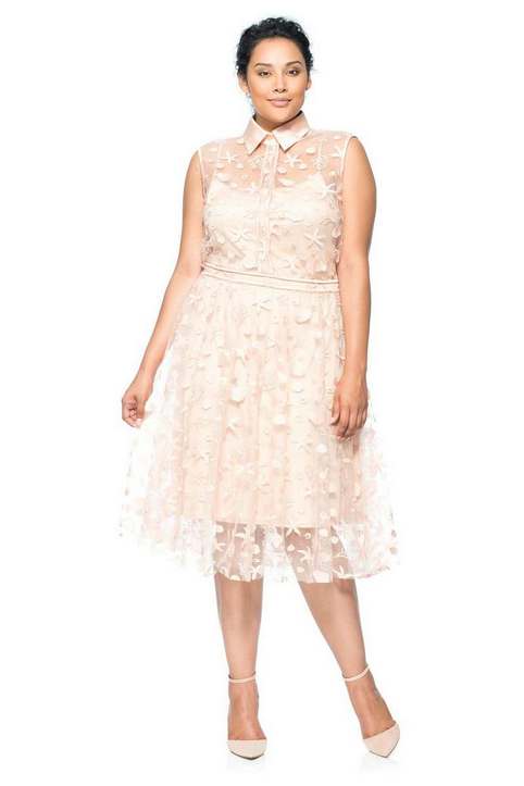 Элегантные вечерние и коктейльные платья для полных модниц американского бренда Tadashi Shoji 2015